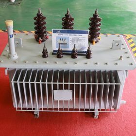 11KV Three Phase Oil Immersed Power Distribution Transformer